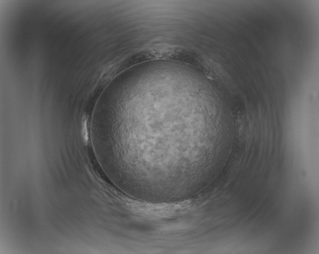X0000058800042200509301219