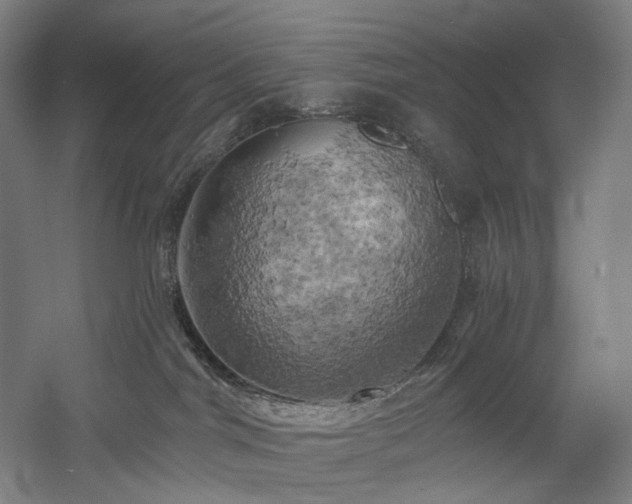 X0000058800044200509301219