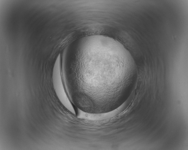 X0000058800045200509301219
