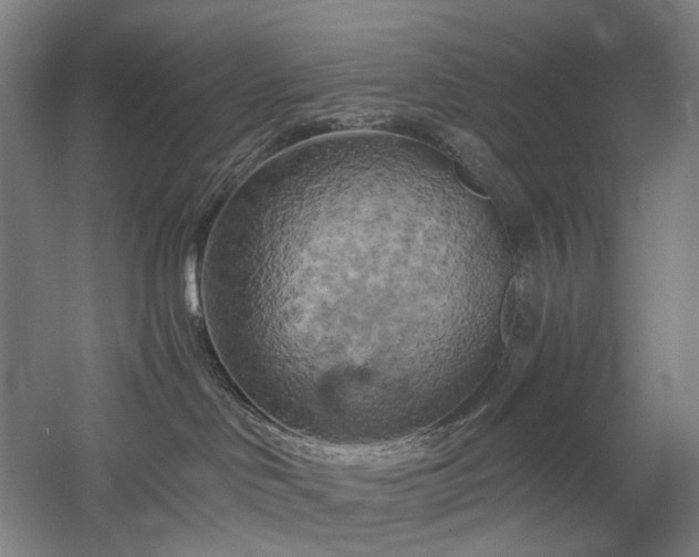 X0000058800046200509301218
