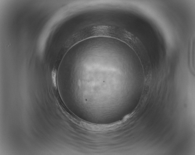 X0000058800047200509301218