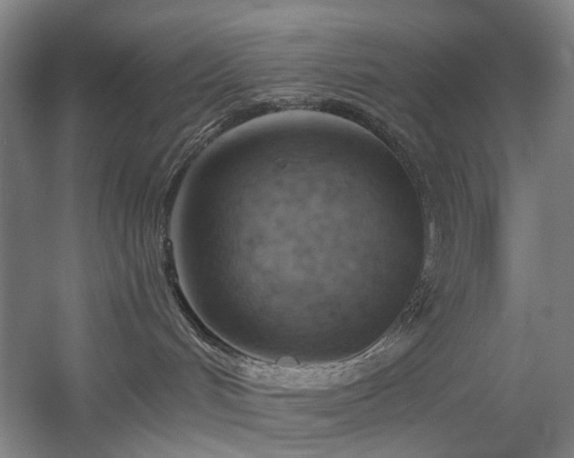 X0000058800048200509301218