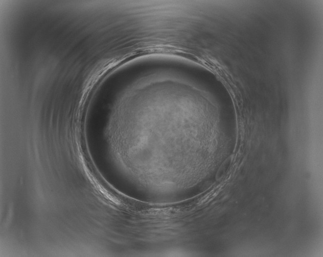 X0000058800049200509301218