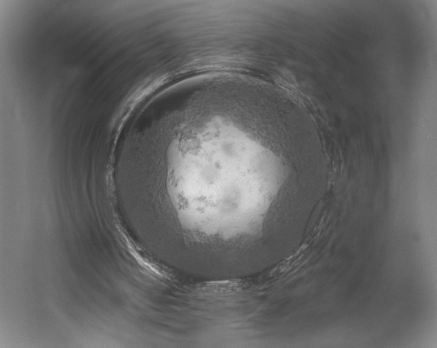 X0000058800050200509301218