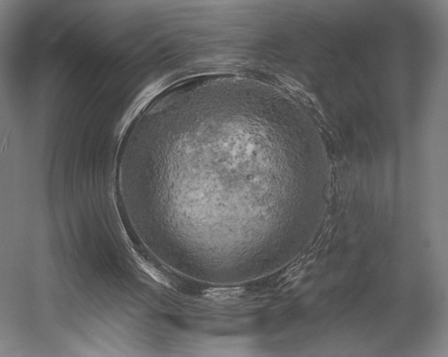 X0000058800051200509301218