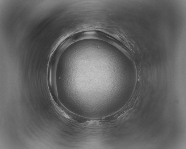 X0000058800052200509301218