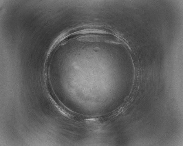 X0000058800053200509301218