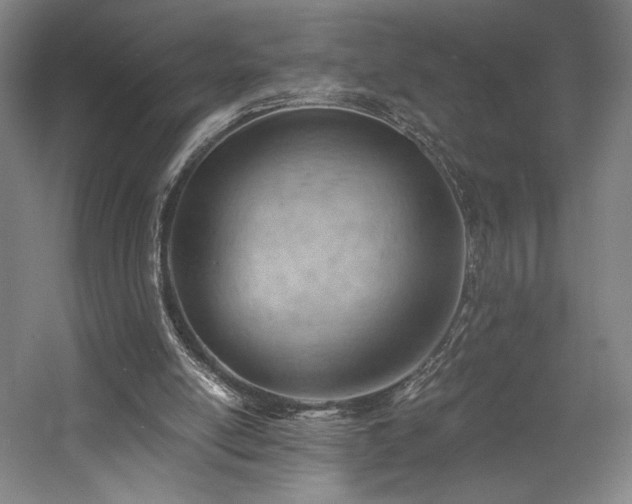 X0000058800054200509301218