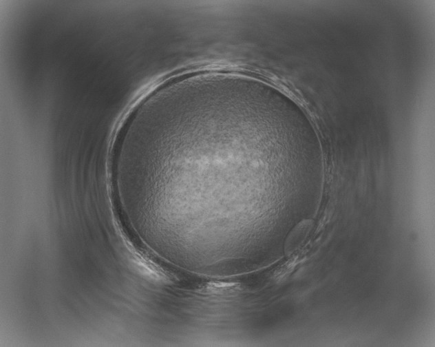 X0000058800055200509301218