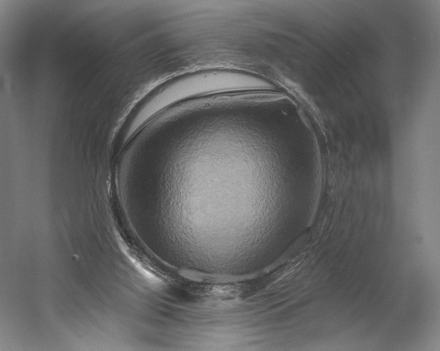 X0000058800060200509301218