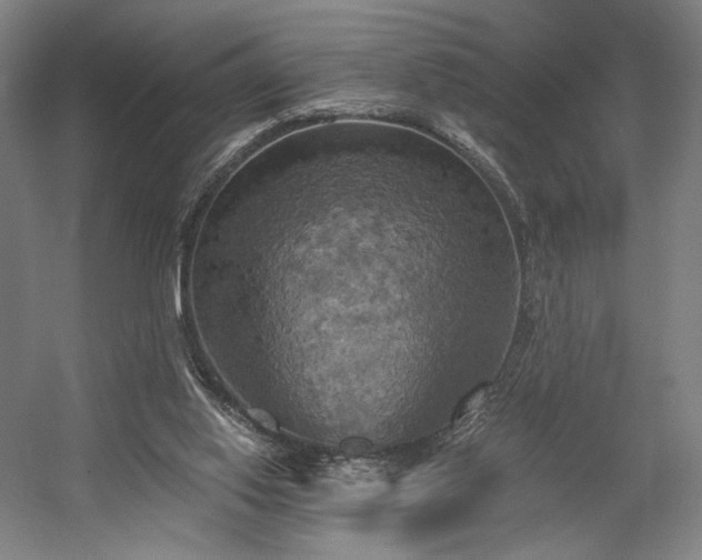 X0000058800062200509301218