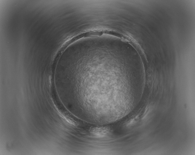 X0000058800063200509301218