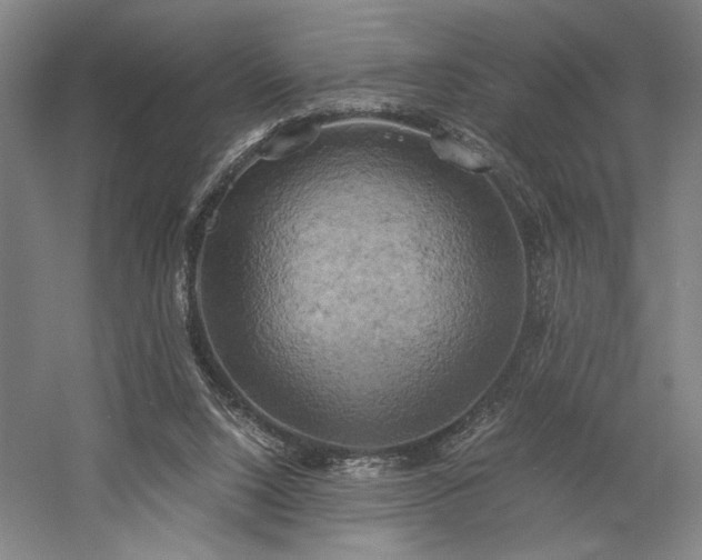 X0000058800064200509301218