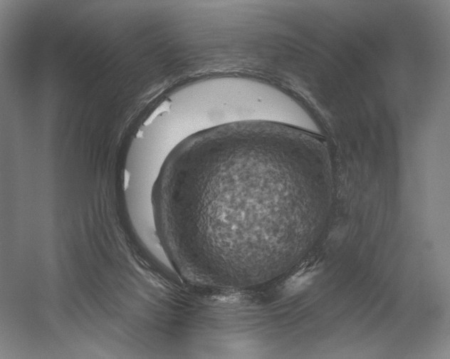 X0000058800068200509301218