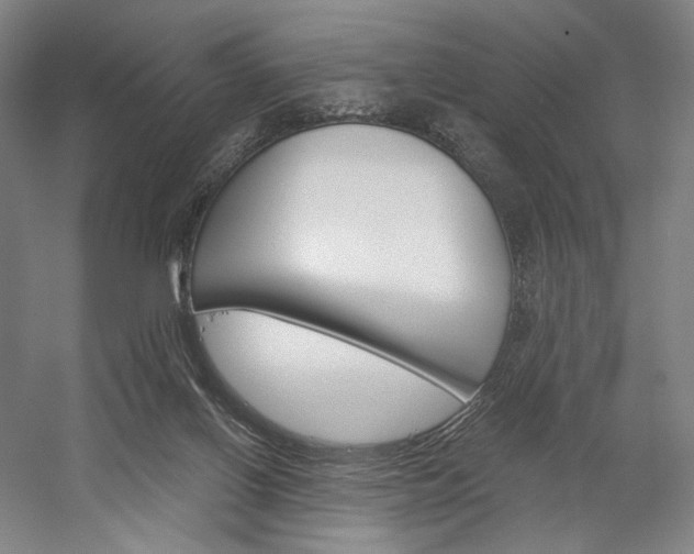 X0000058800070200509301218