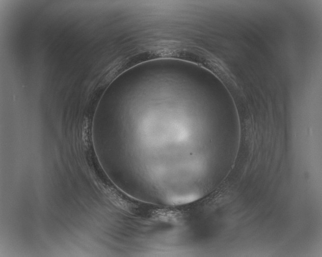 X0000058800073200509301218