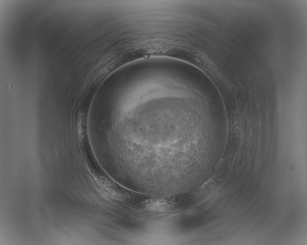 X0000058800074200509301218