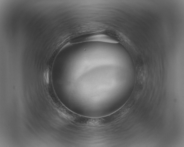 X0000058800076200509301218