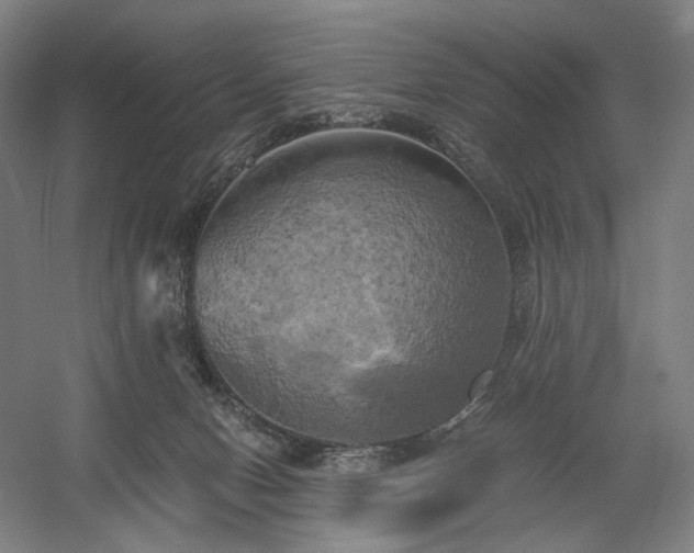 X0000058800078200509301218