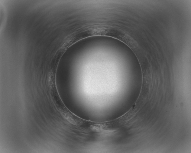 X0000058800079200509301218