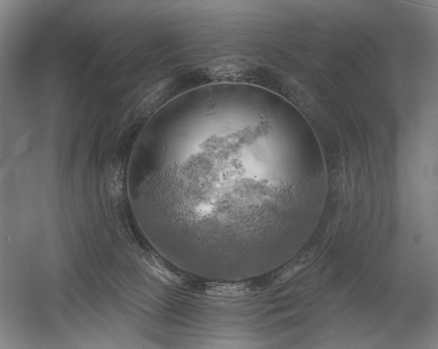 X0000058800081200509301218