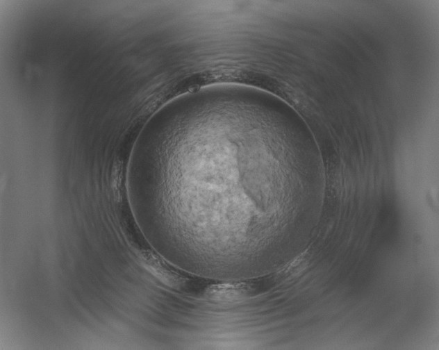 X0000058800082200509301218