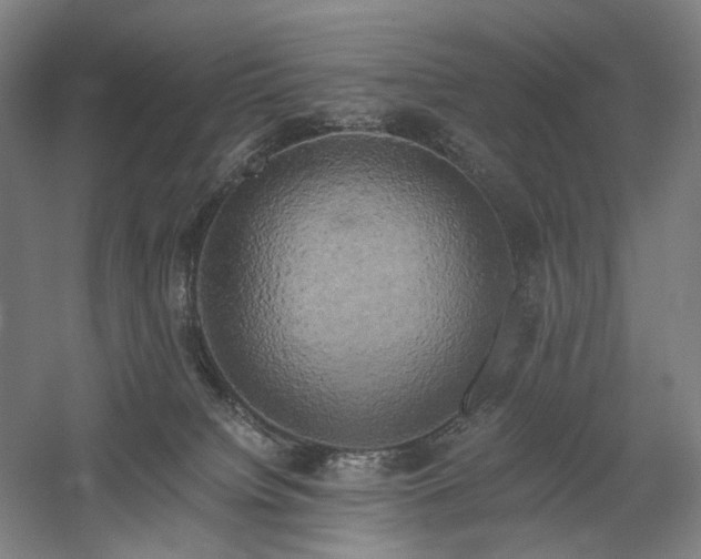 X0000058800084200509301218