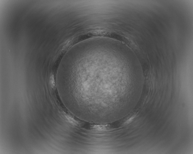 X0000058800089200509301218