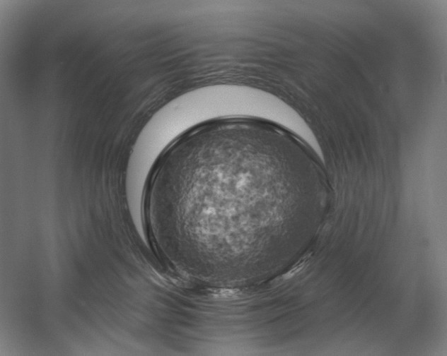 X0000058800091200509301218