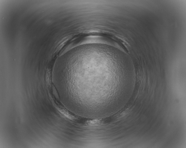 X0000058800092200509301218