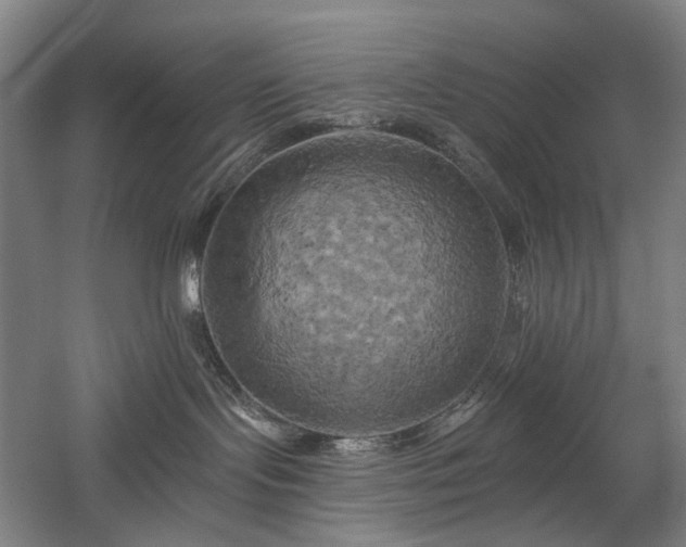 X0000058800095200509301218