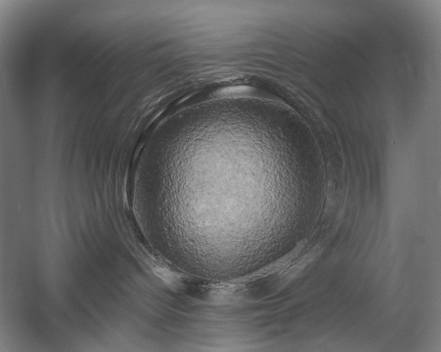 X0000058800096200509301218
