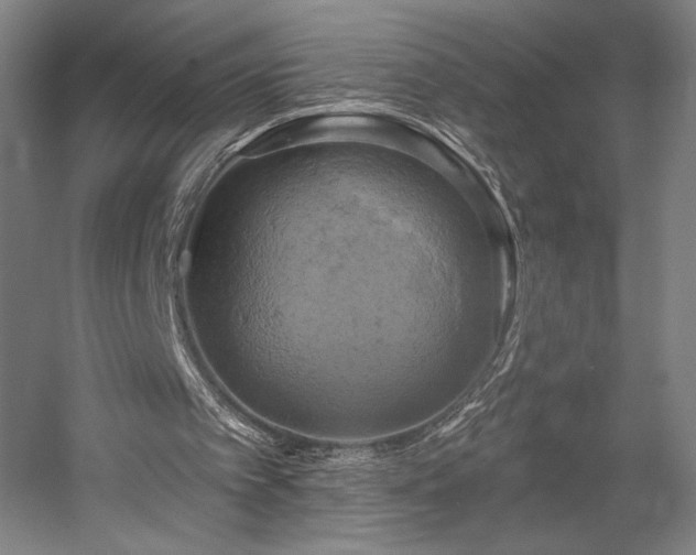 X0000058800097200509301218
