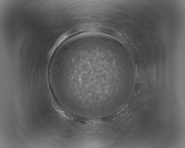 X0000058800099200509301218