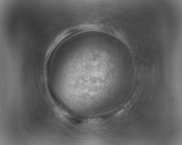 X0000058800103200509301218