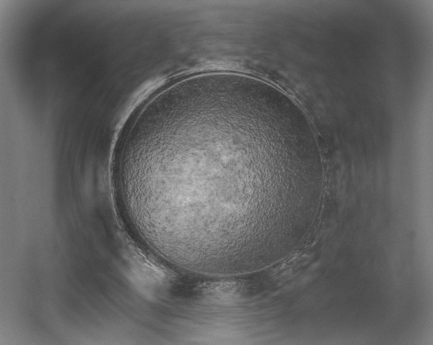 X0000058800104200509301218