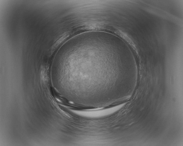 X0000058800105200509301217