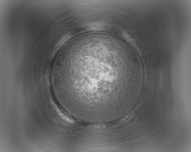 X0000058800106200509301217