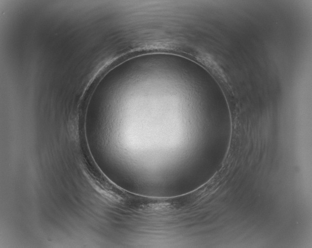 X0000058800108200509301217
