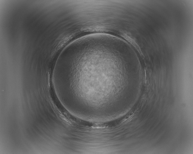 X0000058800109200509301217