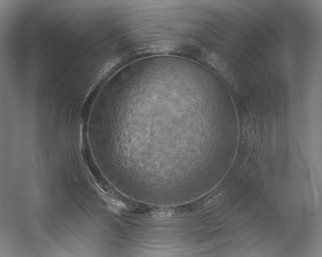 X0000058800110200509301217