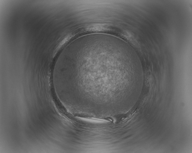 X0000058800111200509301217