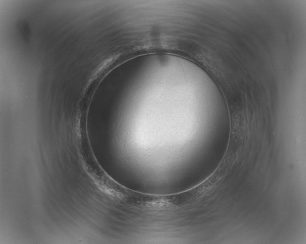 X0000058800112200509301217