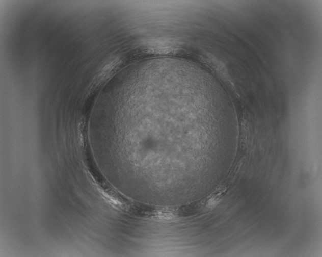 X0000058800114200509301217