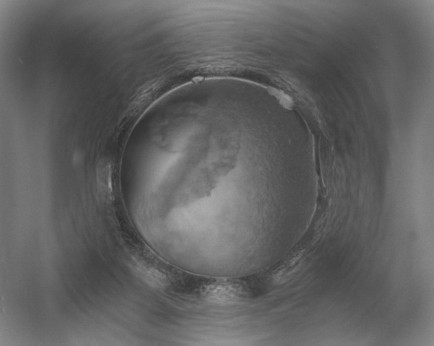 X0000058800115200509301217