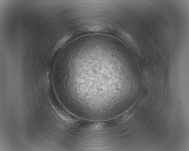 X0000058800116200509301217