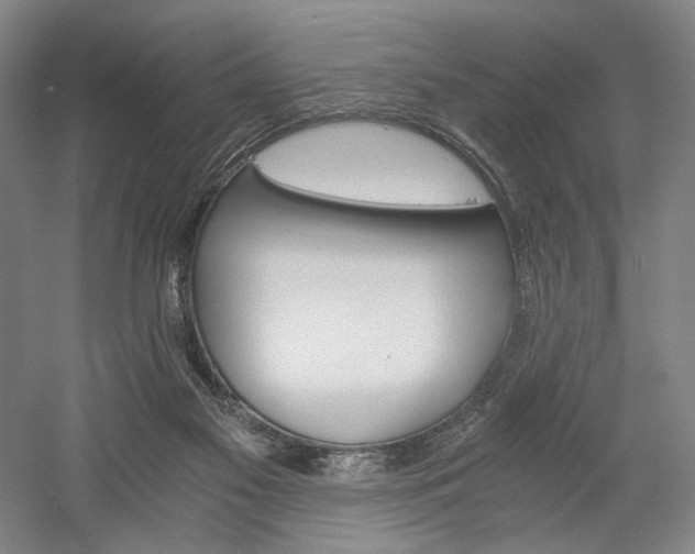 X0000058800117200509301217