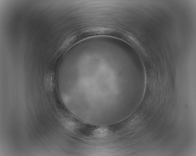 X0000058800119200509301217