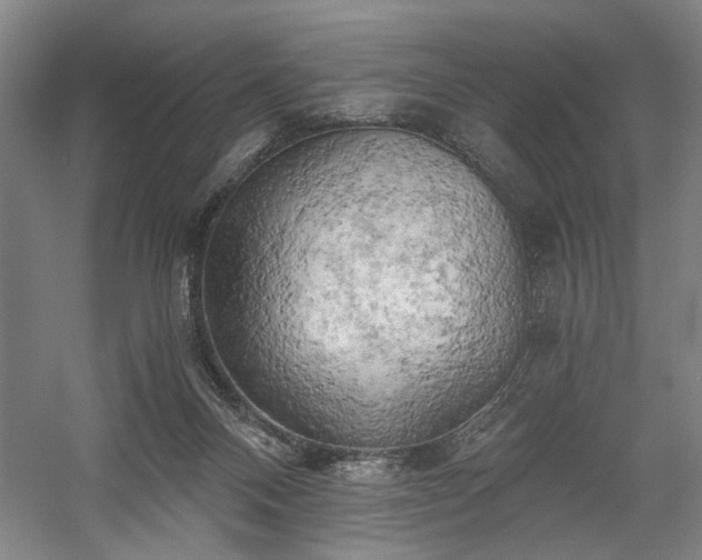 X0000058800120200509301217