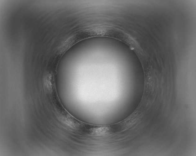 X0000058800122200509301217